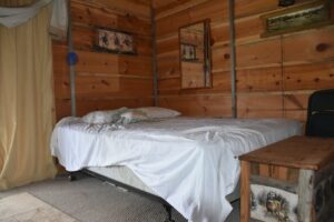 cabin eight-gallery-1