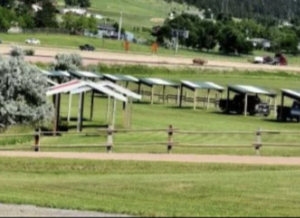 Suzies Camp photo 2